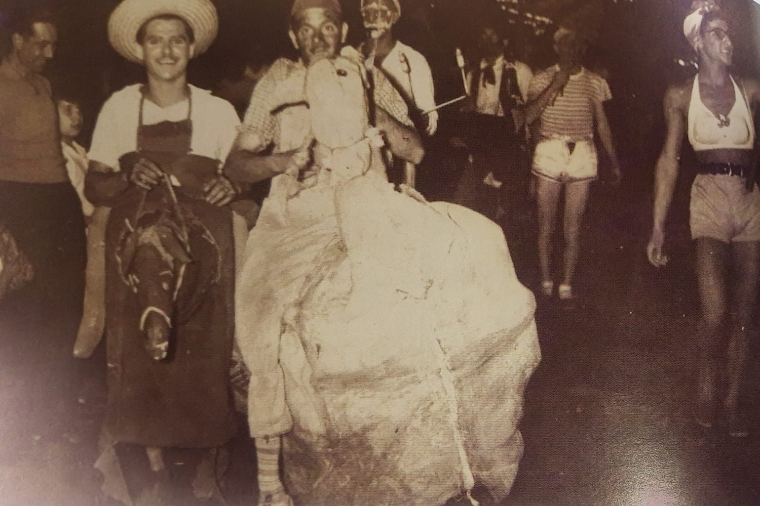 Descripción de la imagen
