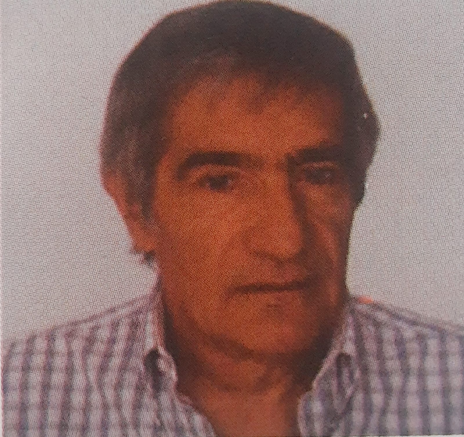 Descripción de la imagen
